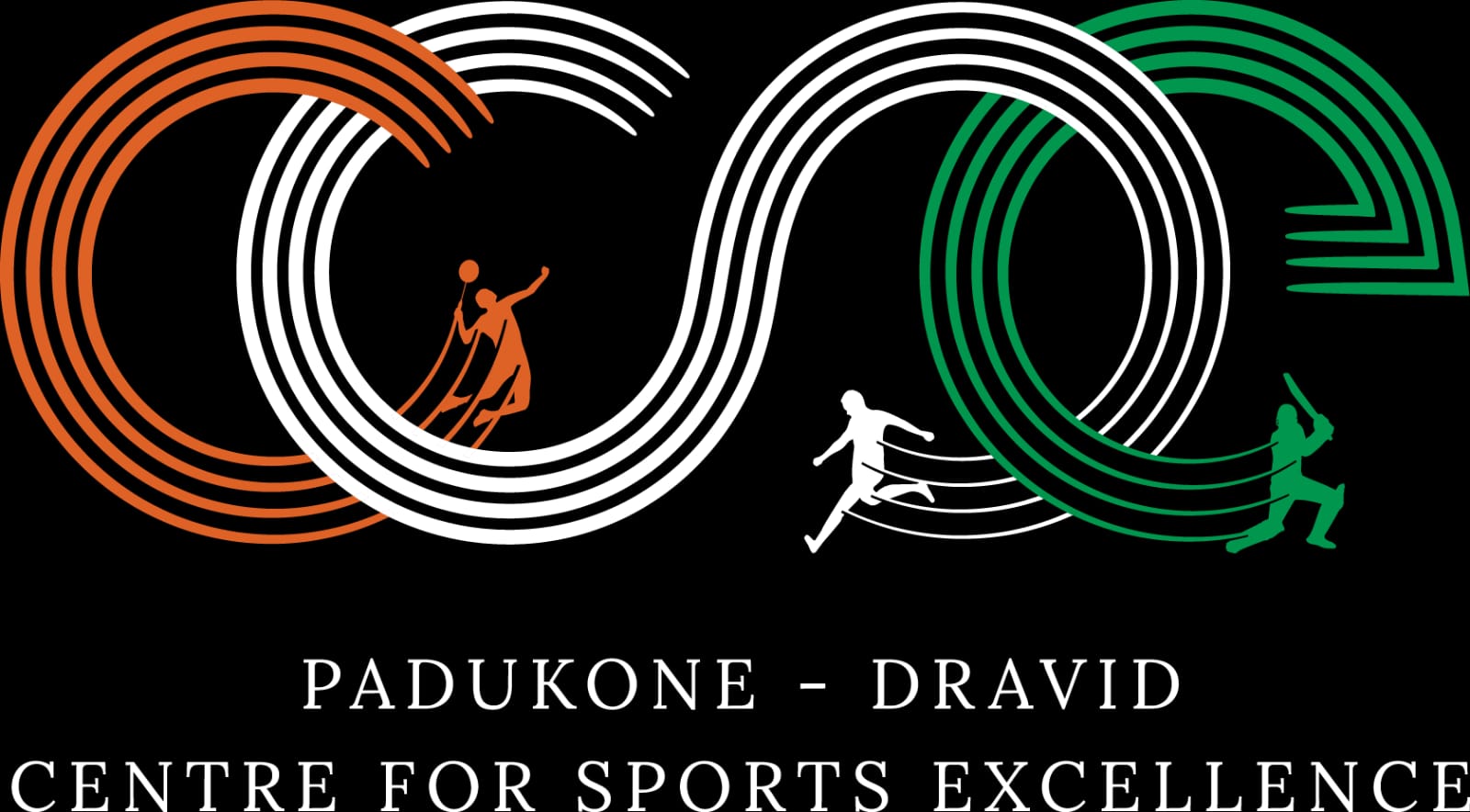 center for sports excellence